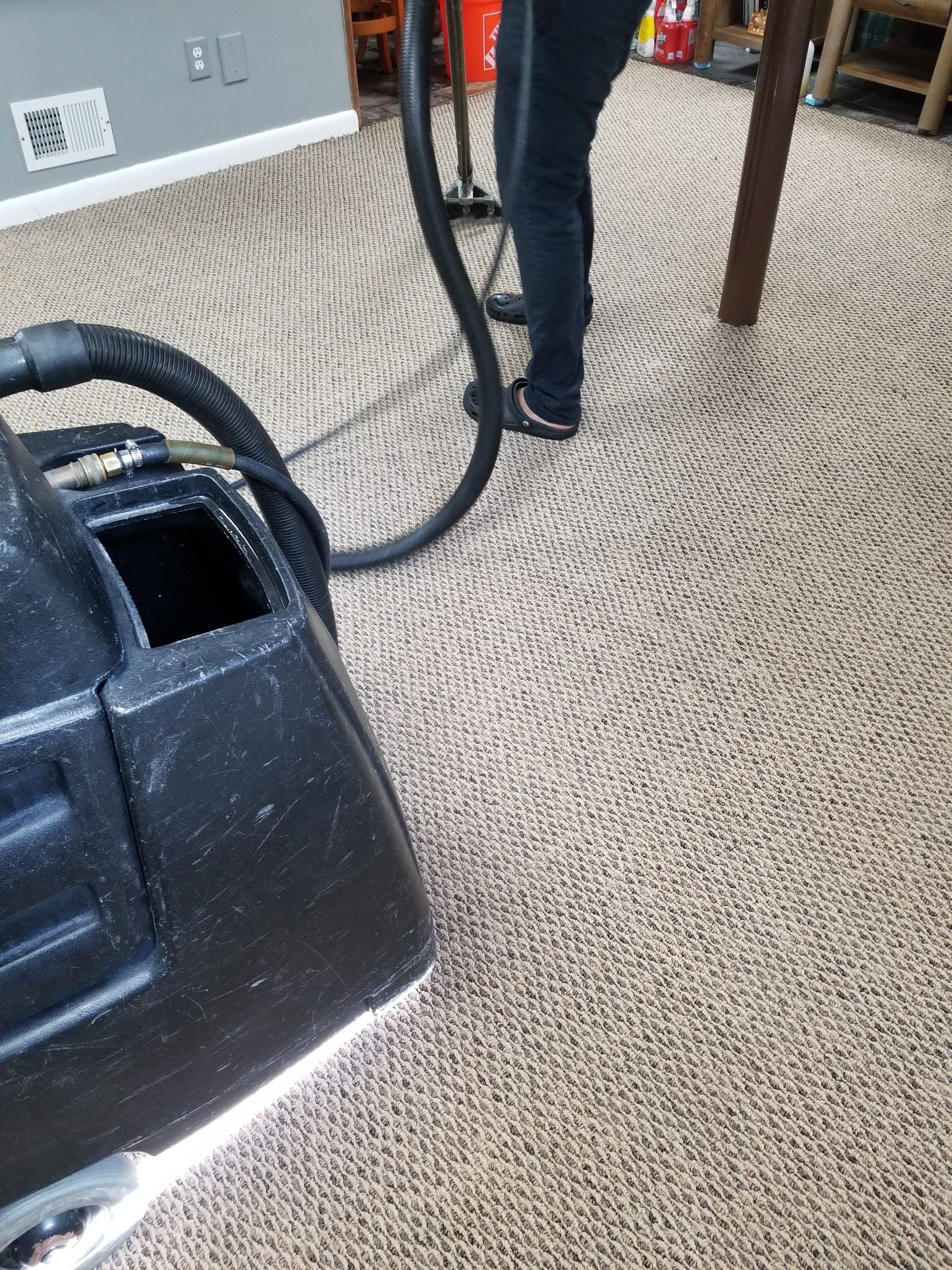A professional carpet cleaning machine with a vacuum hose cleaning a textured, circular-patterned carpet.