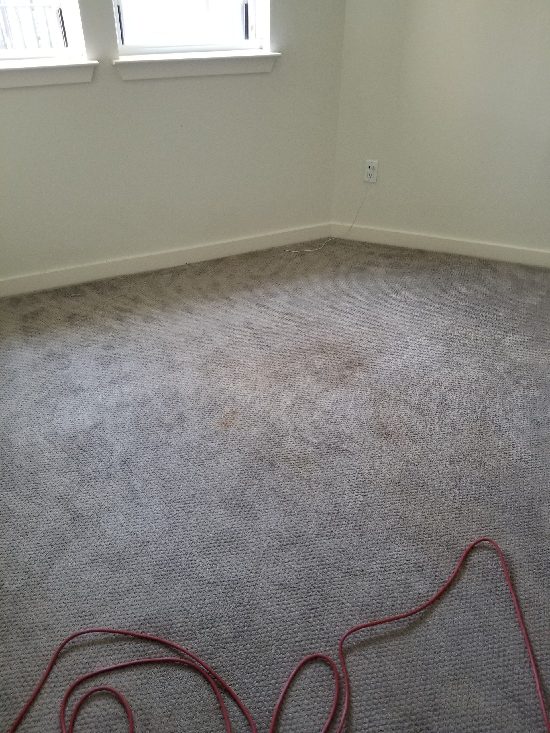 Light grey carpet in a room with two windows and a visible red power cord running across the floor.