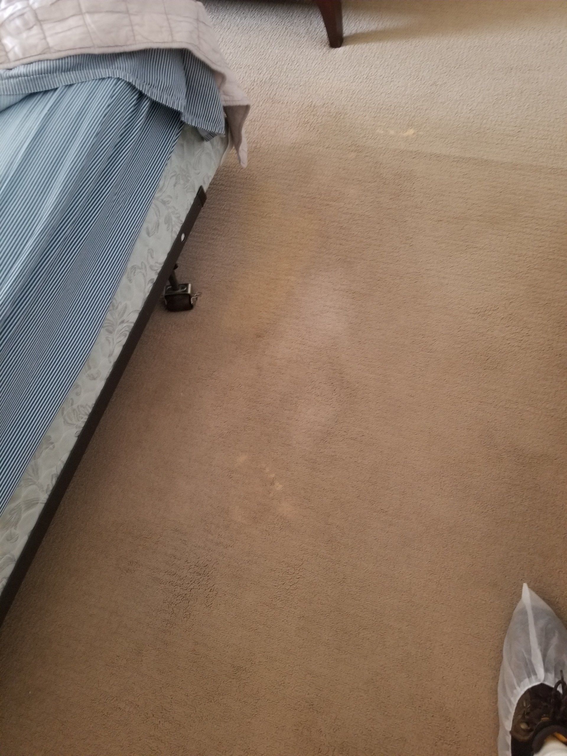 A view of a blue and white patterned bed skirt on a metal frame, positioned next to beige carpet.