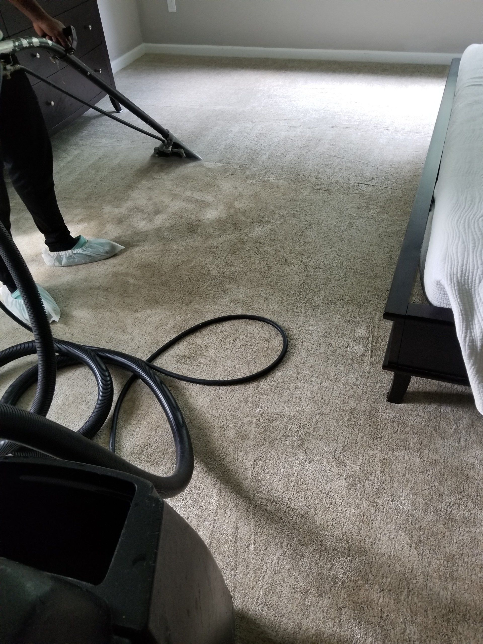 A person cleaning a light-colored carpet in a room with a vacuum extraction tool and connected hoses.