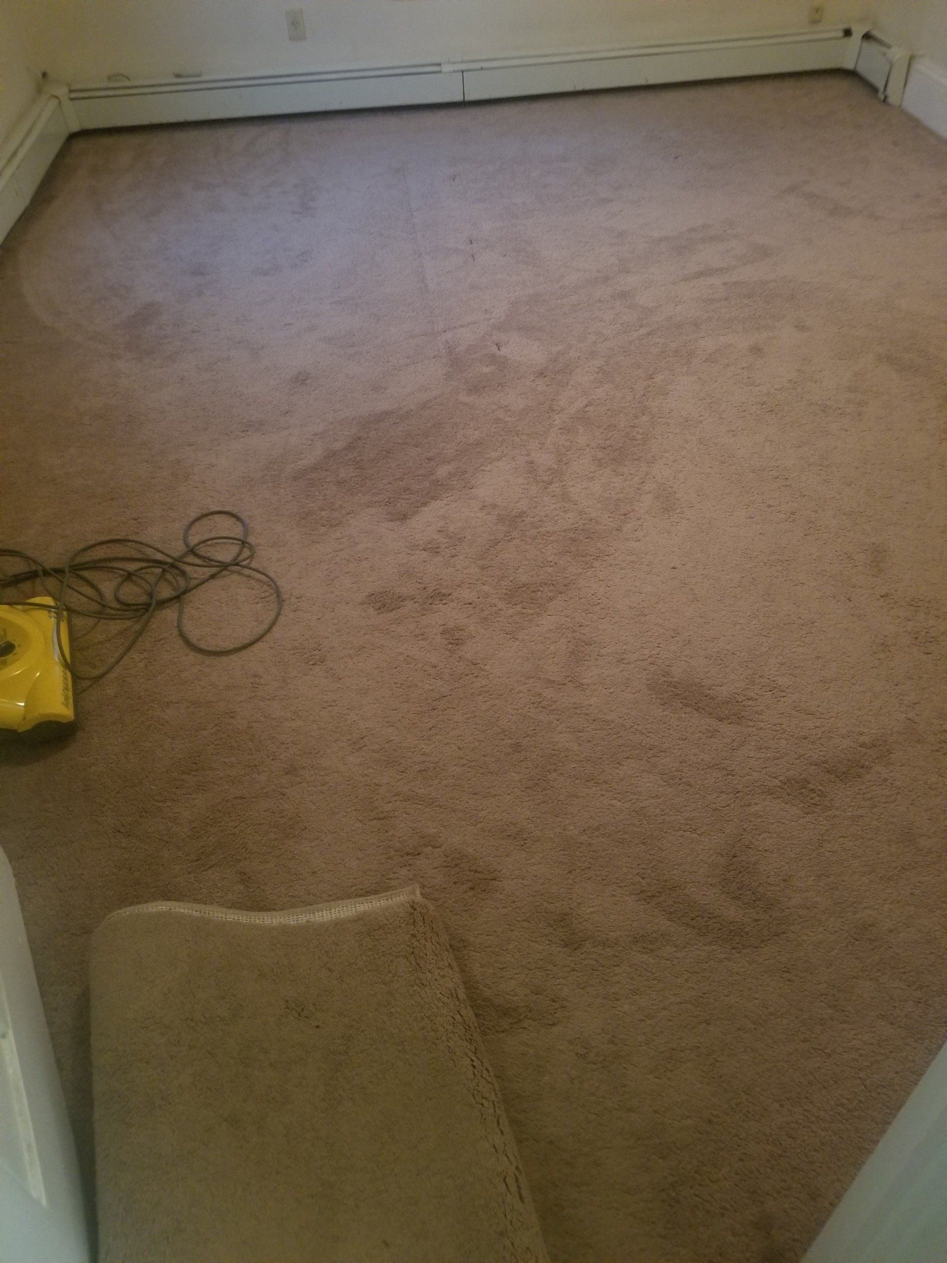 A tan carpeted room with beige baseboards, a yellow vacuum cleaner on the left, and a partial view of a door frame.