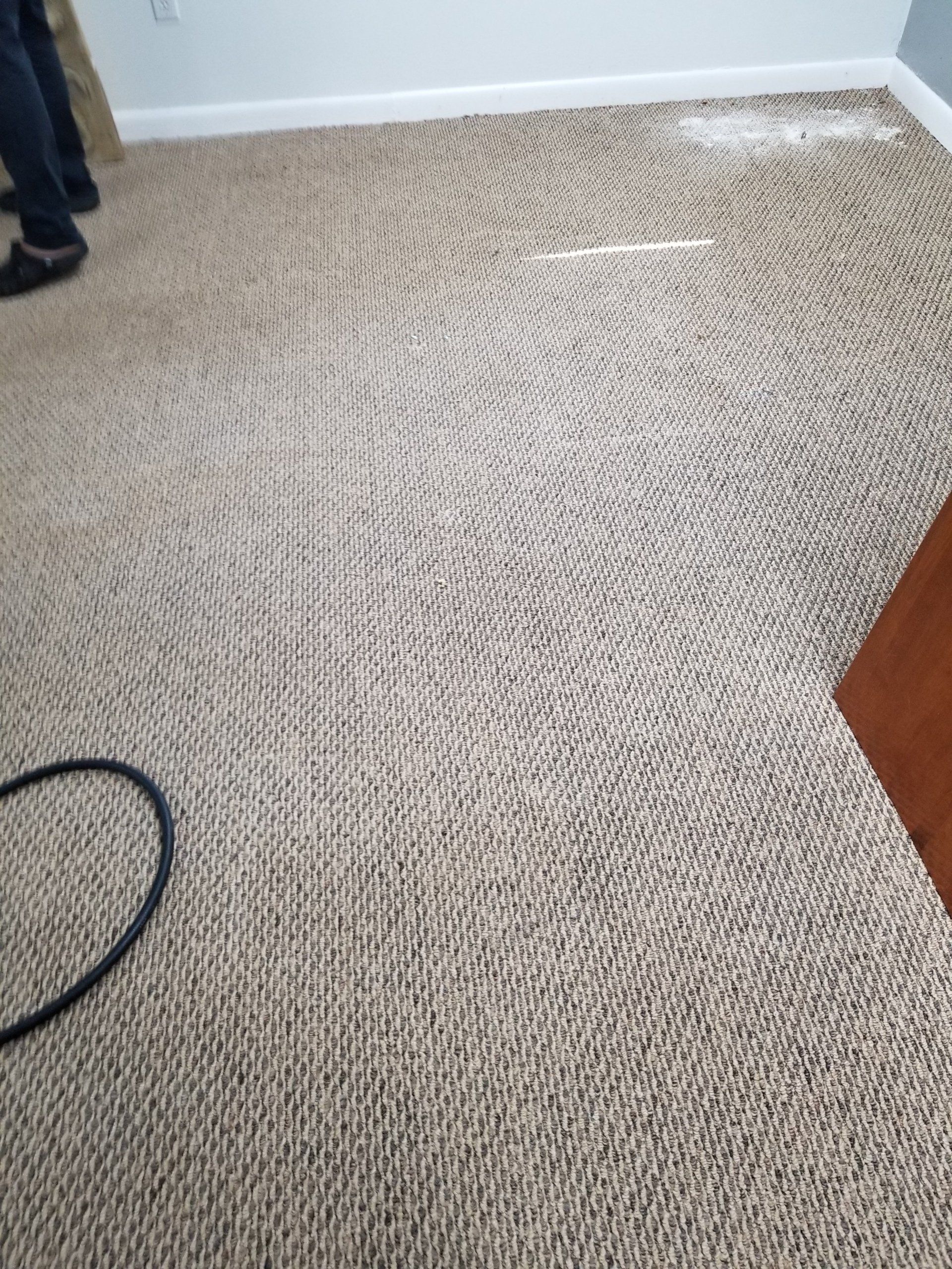 A tan, textured carpet with distinct, curved vacuum marks, showing a corner of a room and the legs of a person standing.