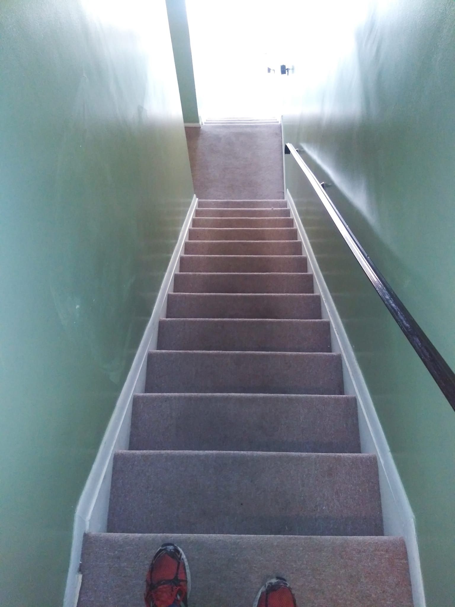 A first-person view looking down a long, straight set of carpeted stairs between light green walls with a handrail.