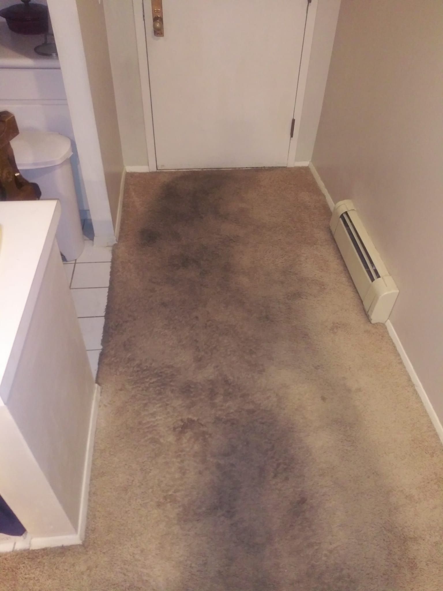 A beige carpeted hallway with a dark, soiled traffic area leading to a closed white door.