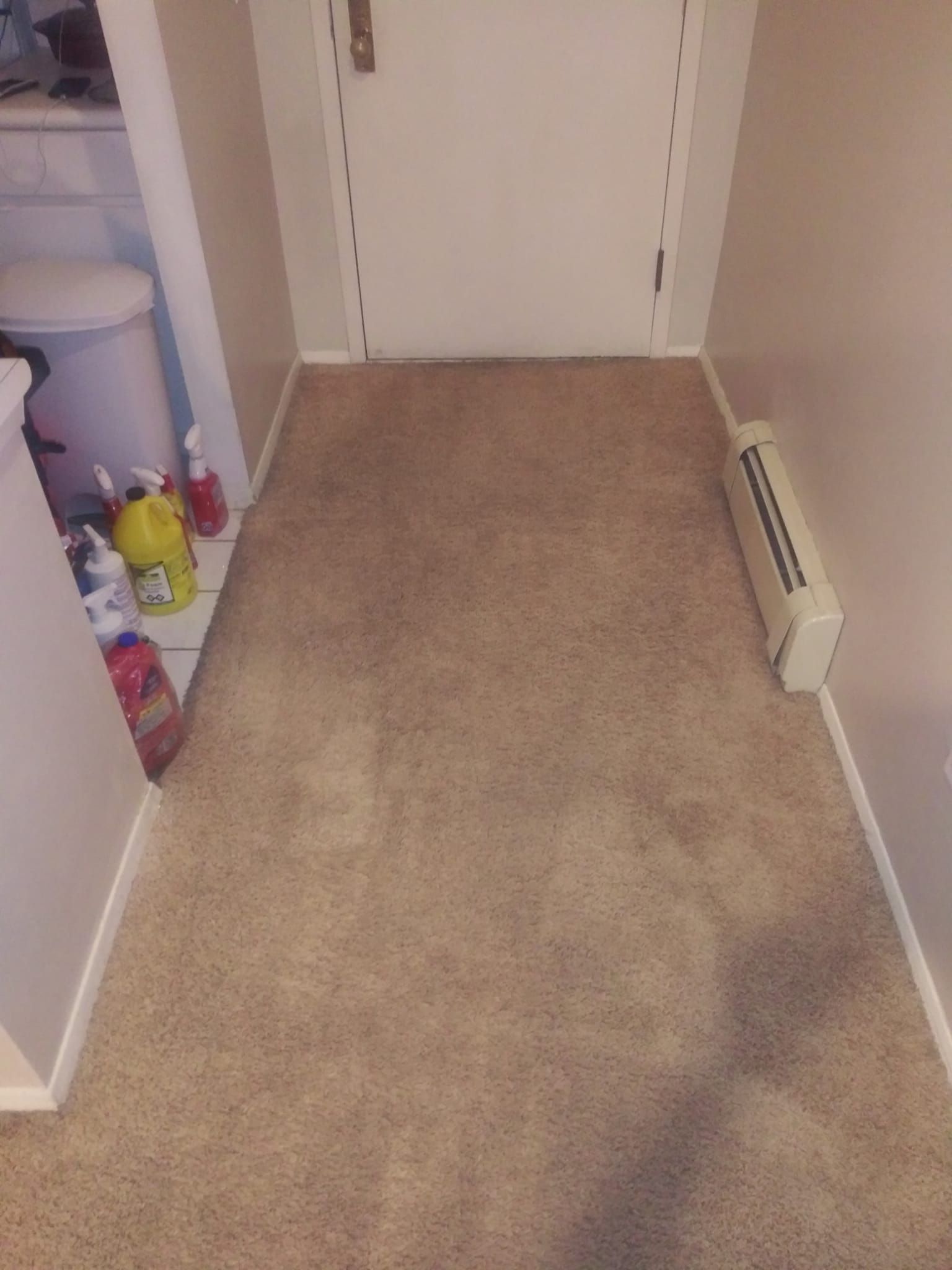 A hallway with beige carpet, a white door at the end, a heater on the right wall, and cleaning supplies in a left niche.