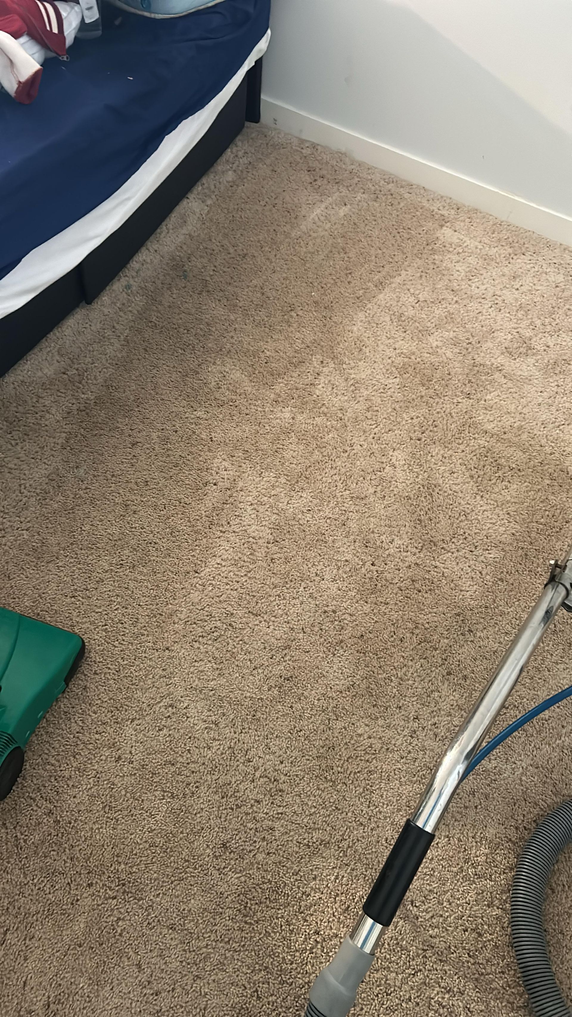 A carpet cleaner wand rests on tan, speckled carpet next to a bed with a blue blanket.