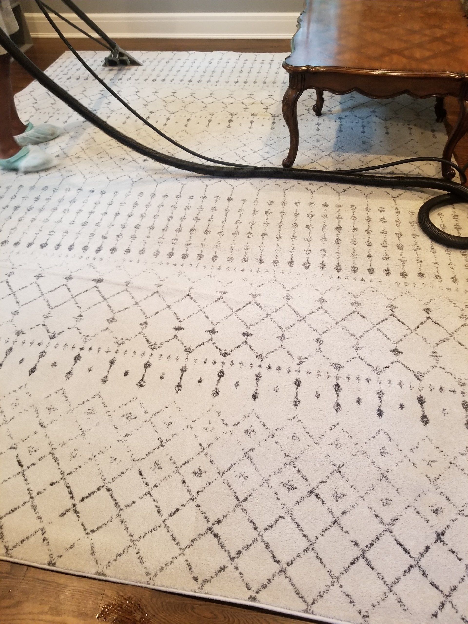 A person cleaning a white and grey patterned area rug with a professional carpet cleaning machine.
