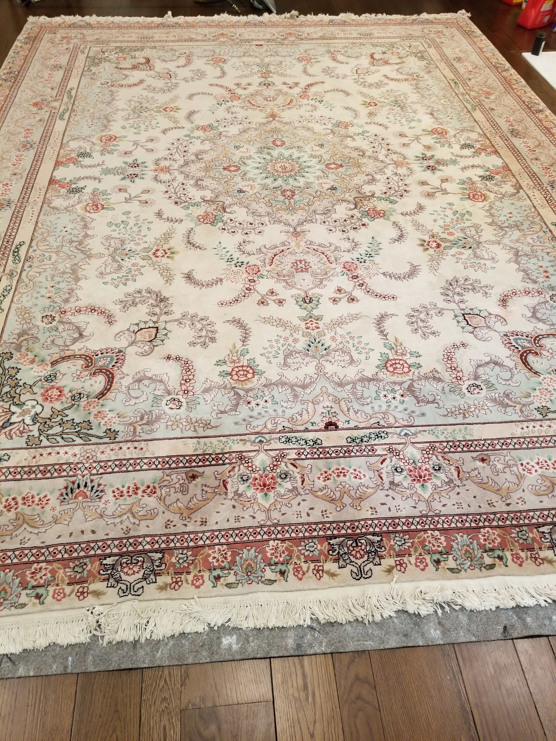 An ornate area rug with an intricate floral and vine pattern in soft cream, red, and blue tones on a wooden floor.