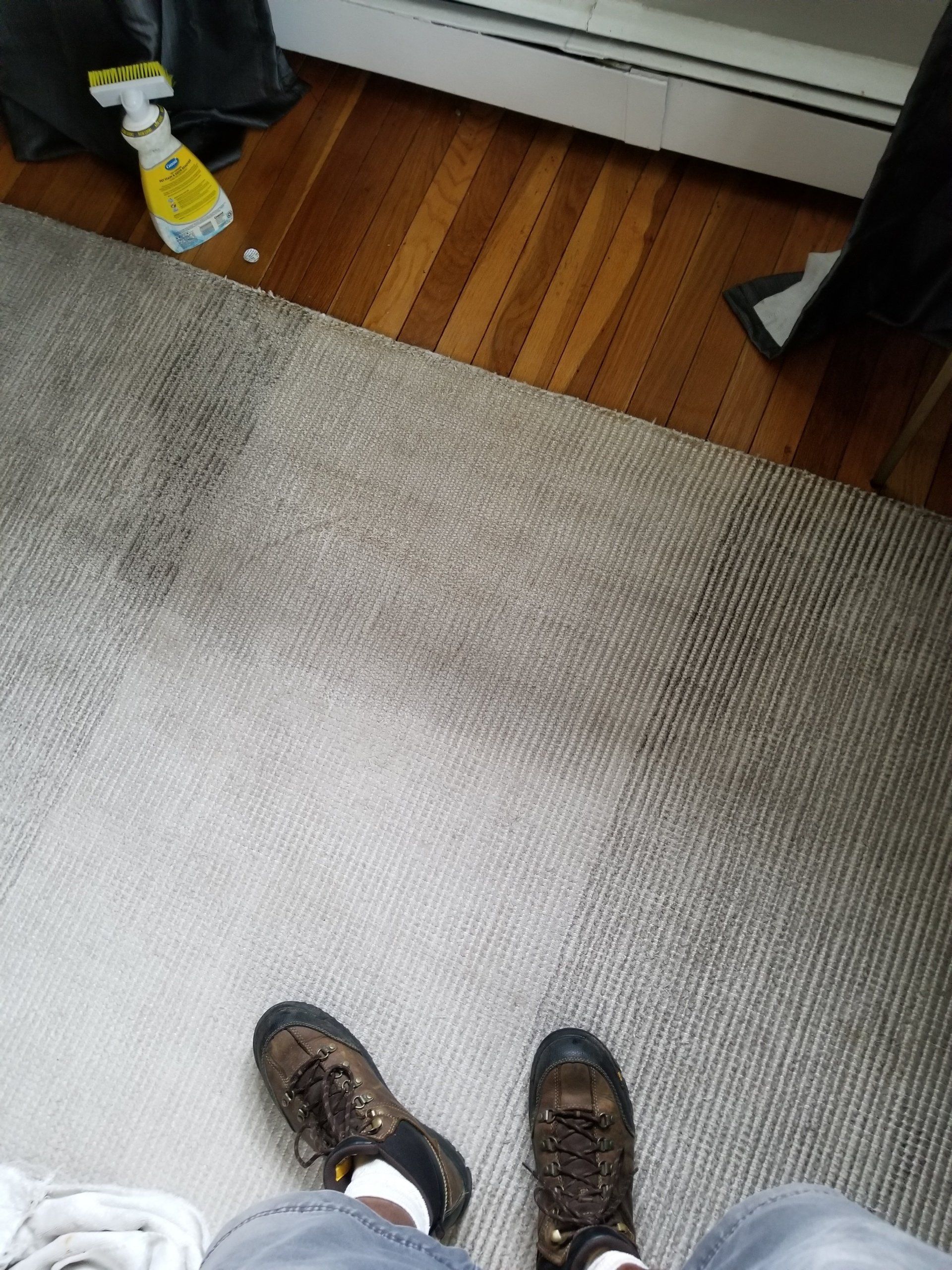 A person stands on a grey carpeted floor wearing brown hiking boots, with a spray bottle nearby on a hardwood floor.