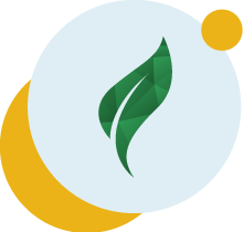 Green leaf logo on a pale blue circle with yellow crescent and dot accents