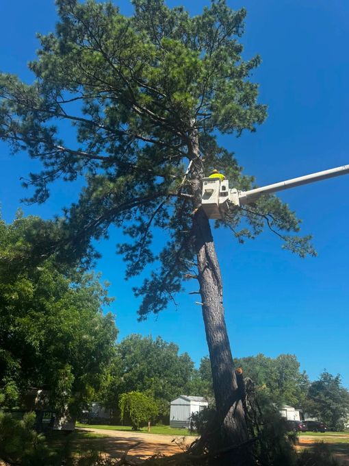 A worker in safety gear cuts a tree limb while positioned in the yellow bucket of an aerial lift.