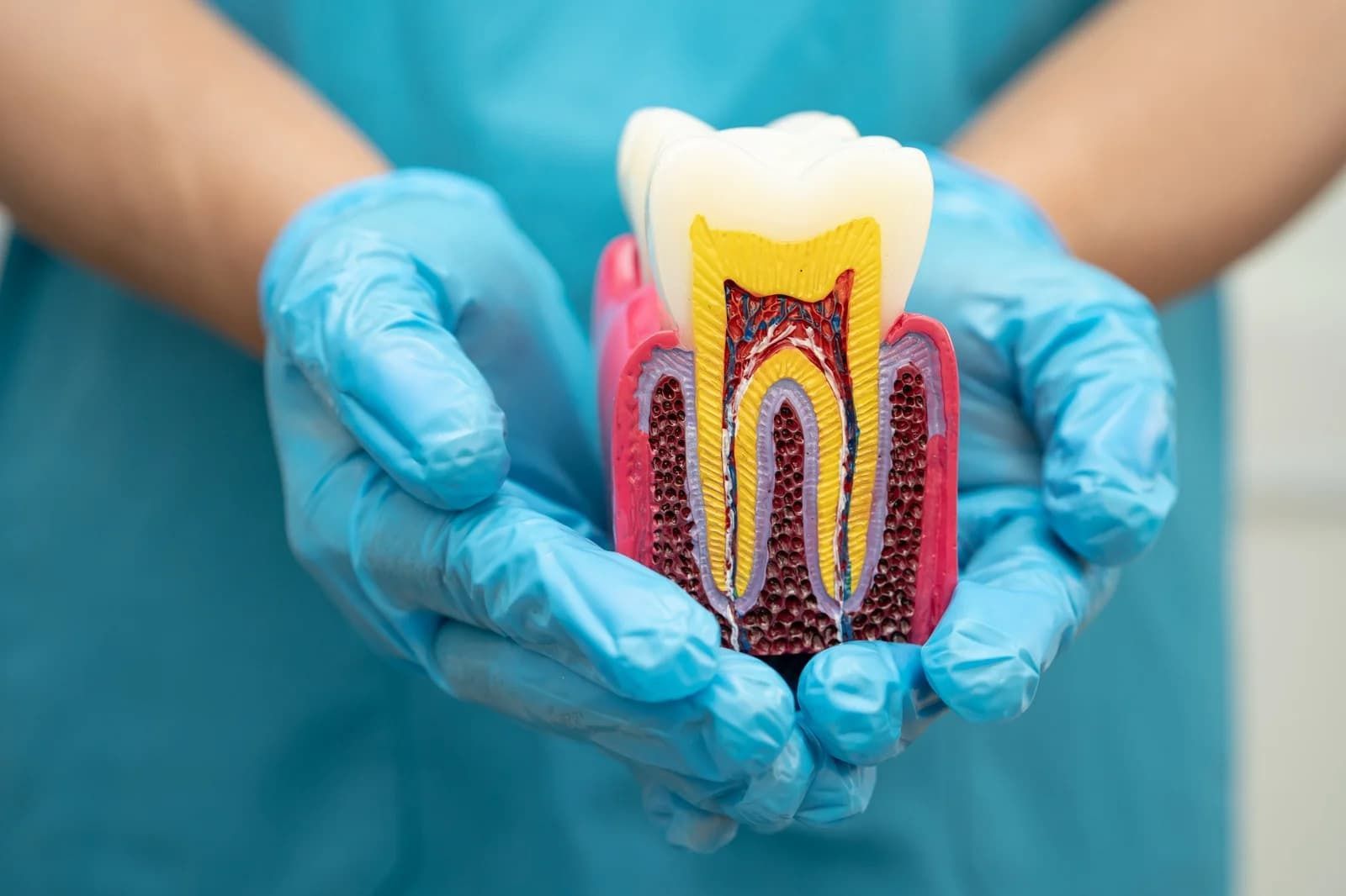 Root Canal in Glenview

