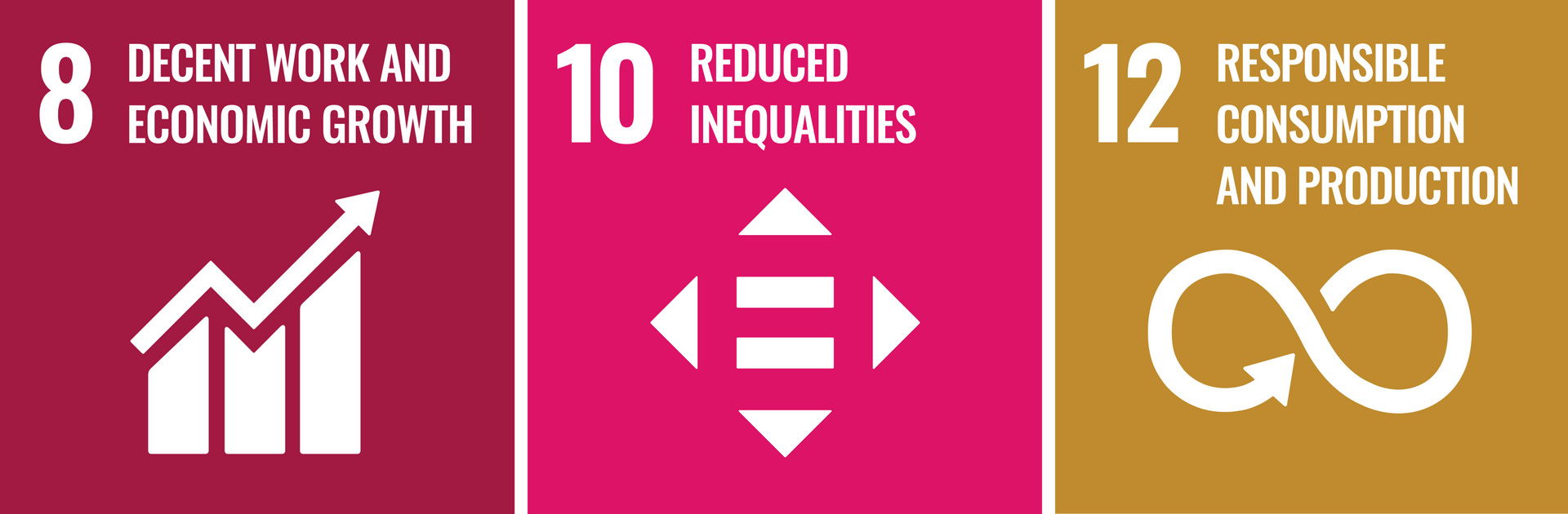 SDG 8, 10 and 12 Certification Logo Iamges