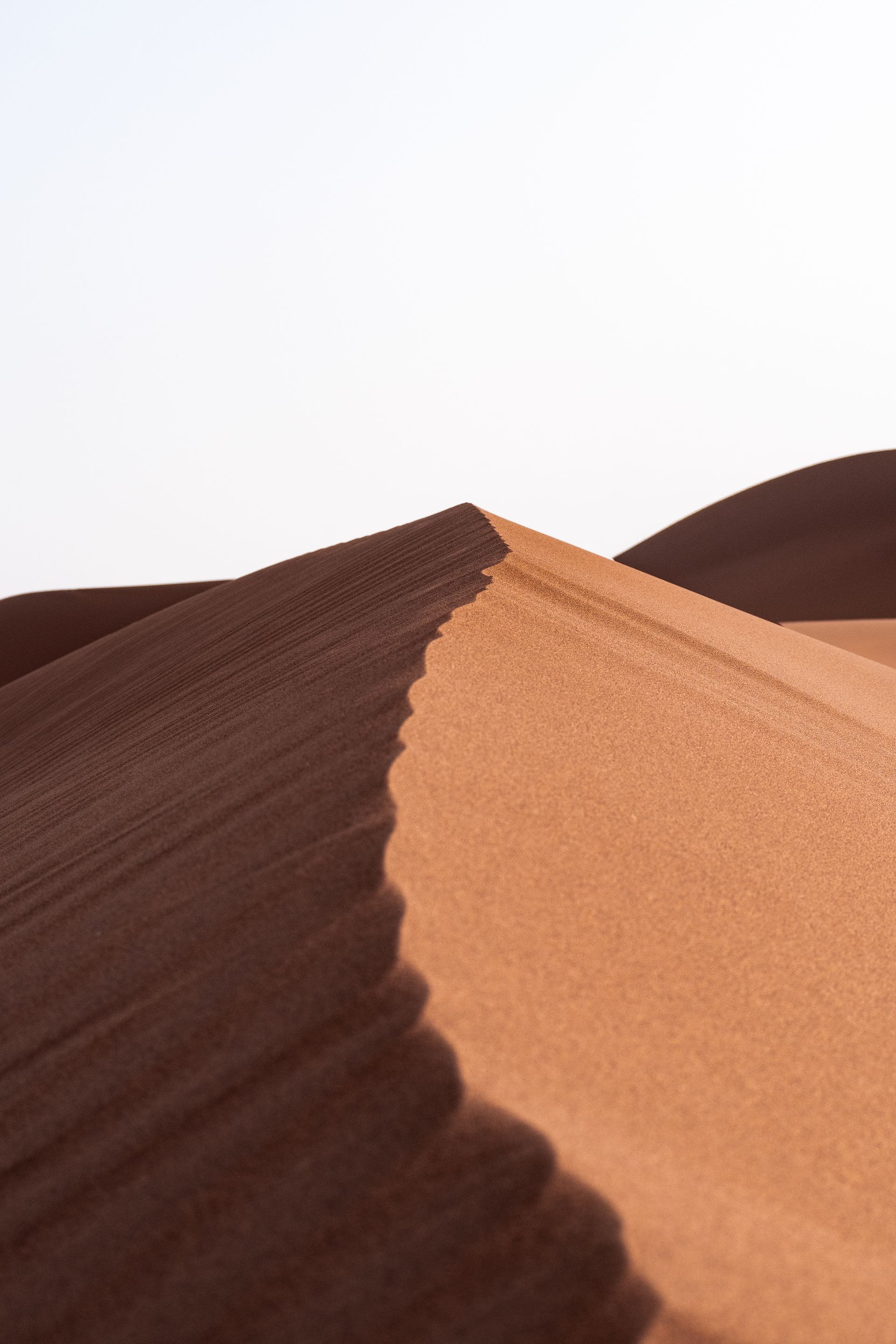 duna, sabbia, crinale, deserto, ombra, luce