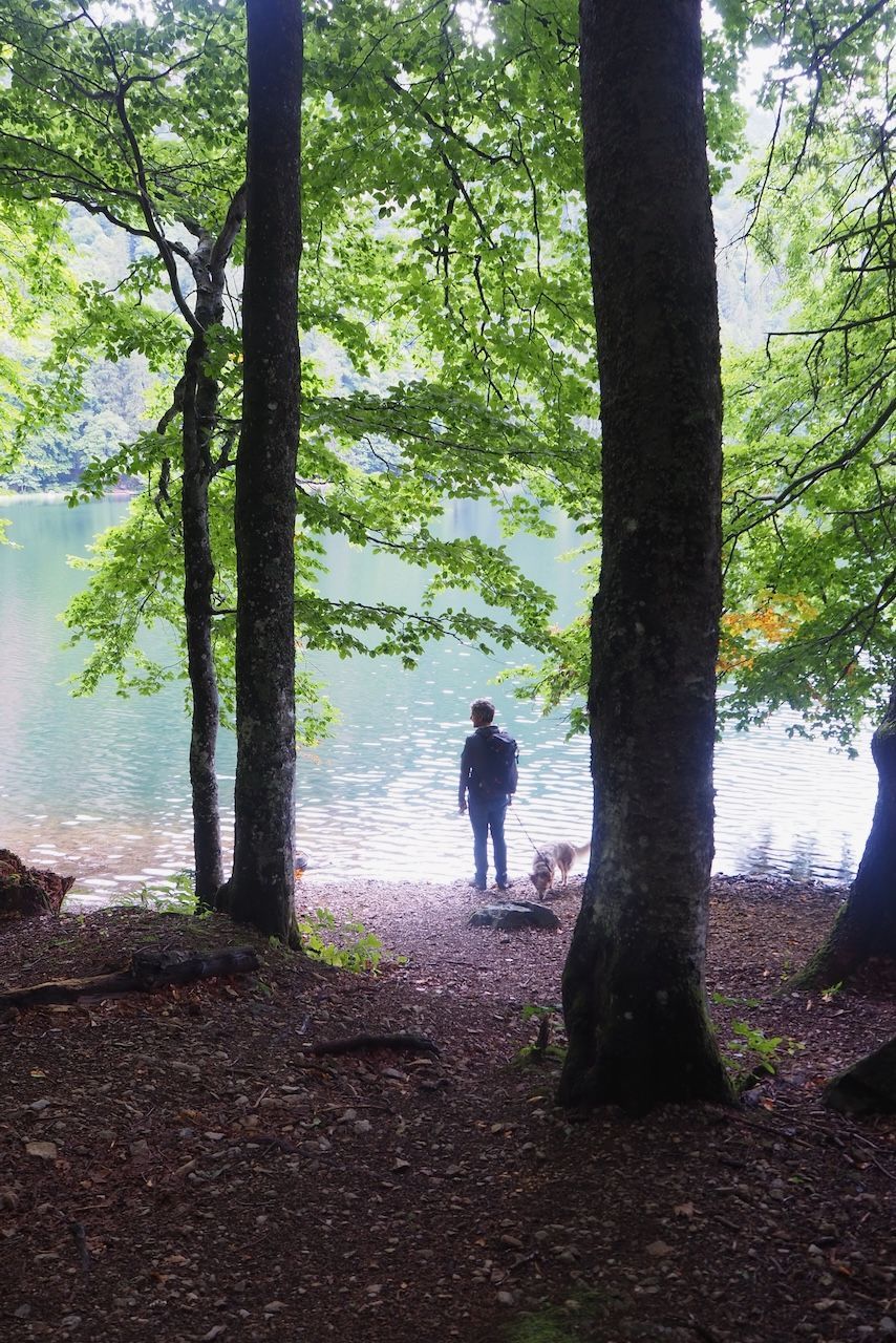 Foresta Nera, Germania, uomo in mezzo al bosco, lago, alberi