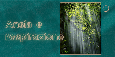alberi, chioma, luce del sole che penetra tra i rami, luce, raggi di sole, foglie