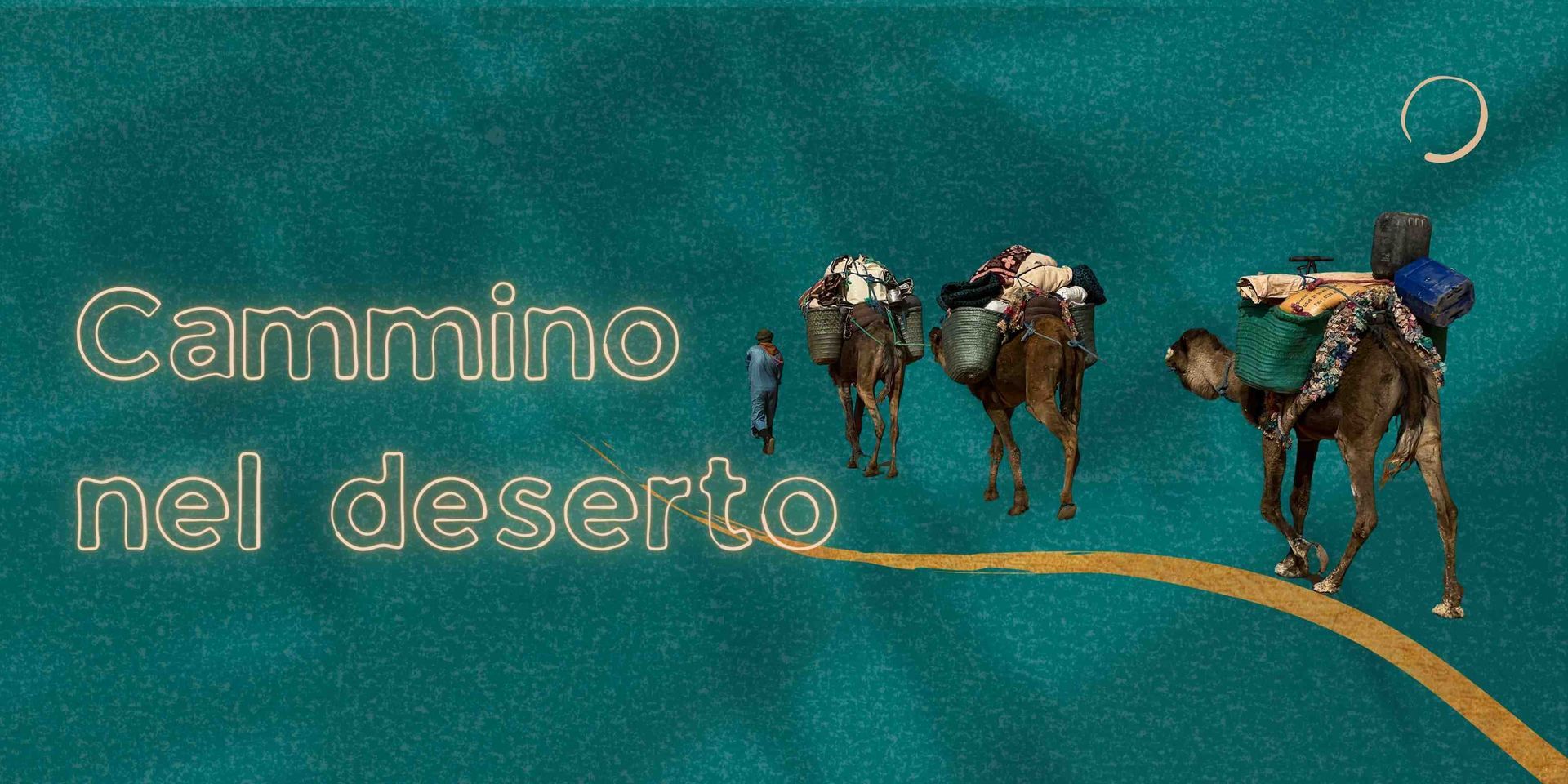Dromedari che camminano nel deserto
