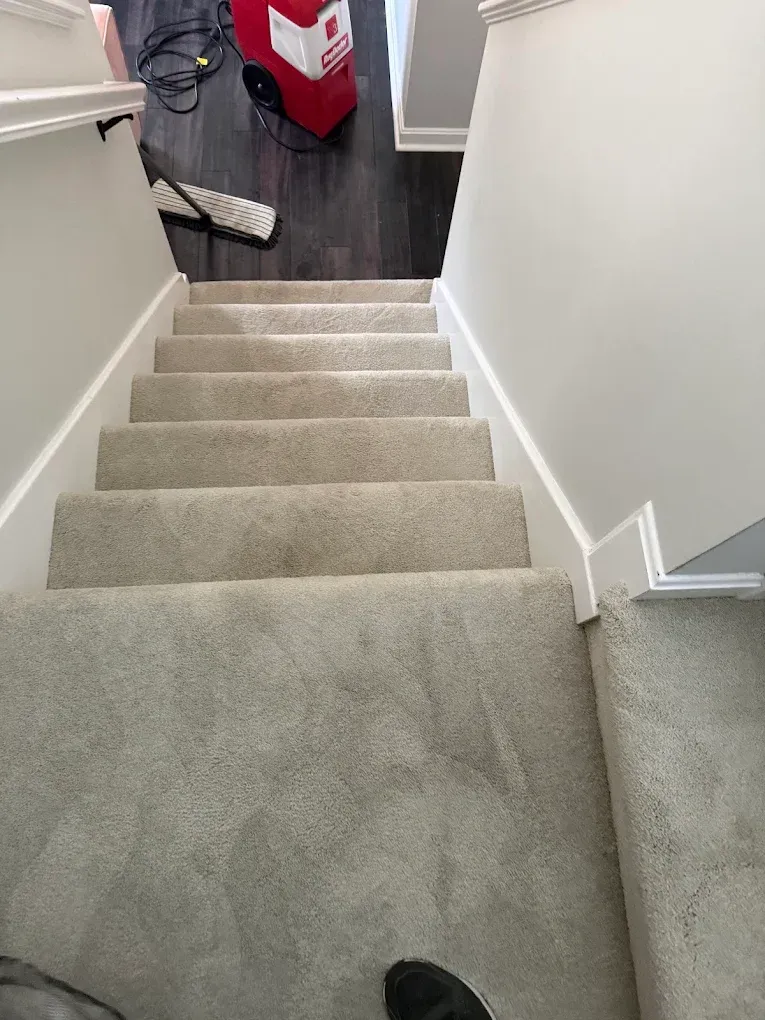 Carpeted stairwell leading down to a hallway with a red storage bin at the bottom.