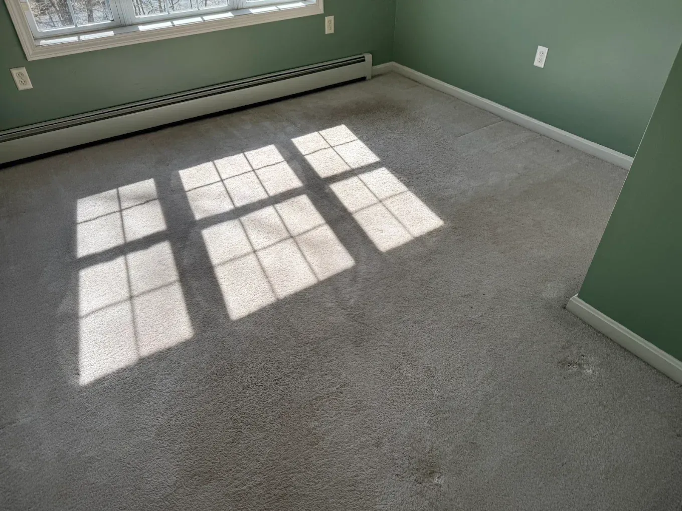 Empty carpeted room with green walls and sunlight streaming through a window onto the floor