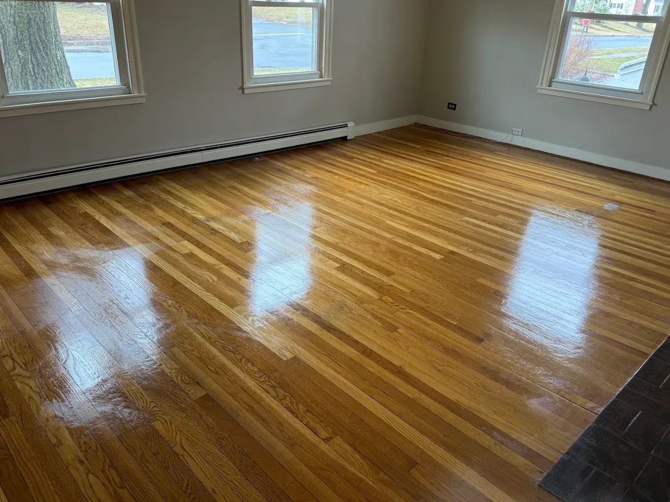 Empty room with glossy hardwood floor, white walls, and three windows letting in daylight