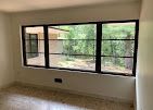 Empty room with large black-framed windows and beige carpet, looking out onto greenery.