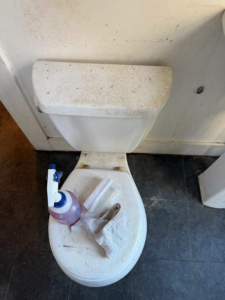 Dirty toilet with a toilet brush, purple cleaner bottle, and a broken plastic piece in the bowl