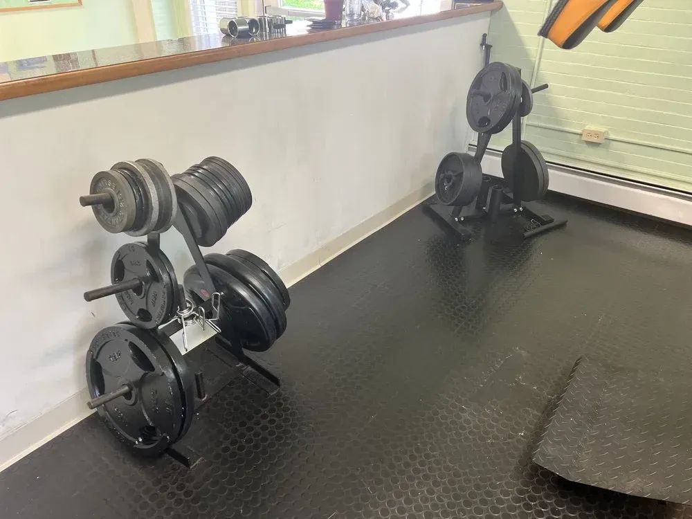 Gym with adjustable dumbbells on racks and a bench on black rubber flooring near a window.