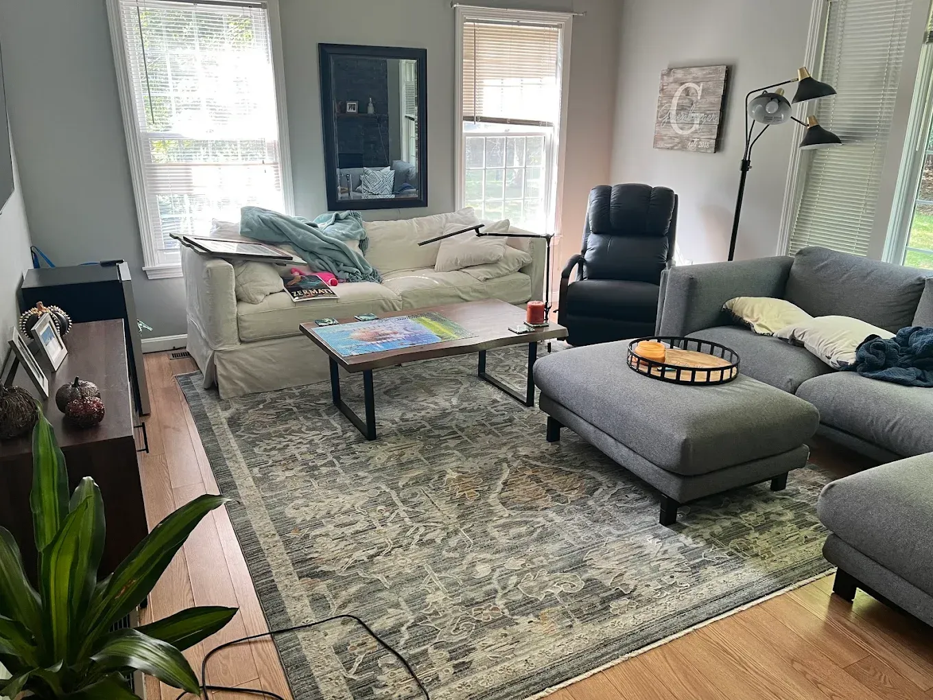 Bright living room with gray sectional, white sofa, armchair, coffee table, rug, and houseplants.