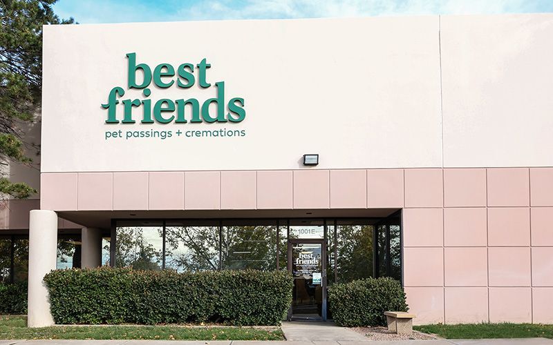 Best Friends Pet Passings + Cremations