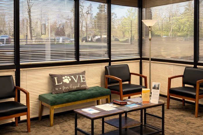 Waiting room for Rio Rancho, NM pet cremation with seating, brochures, and large sunlit windows