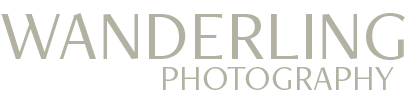 A logo for wandering photography is shown on a white background.