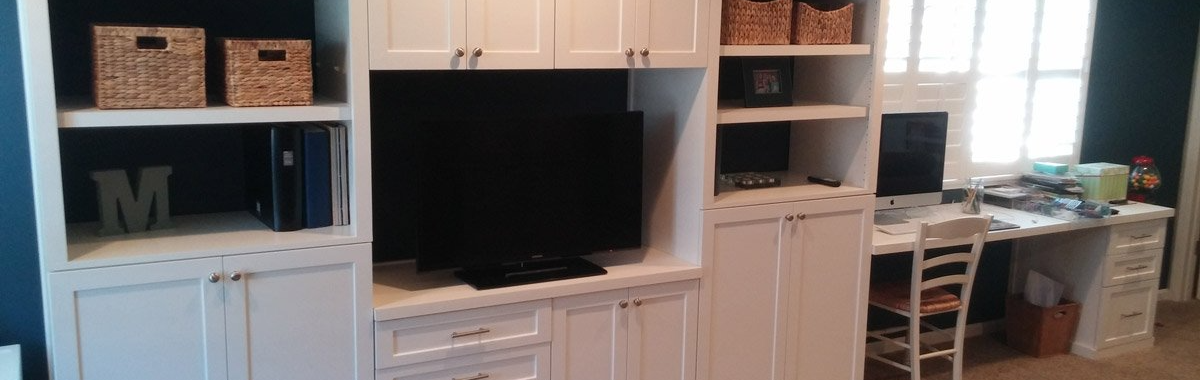 Custom Entertainment System
