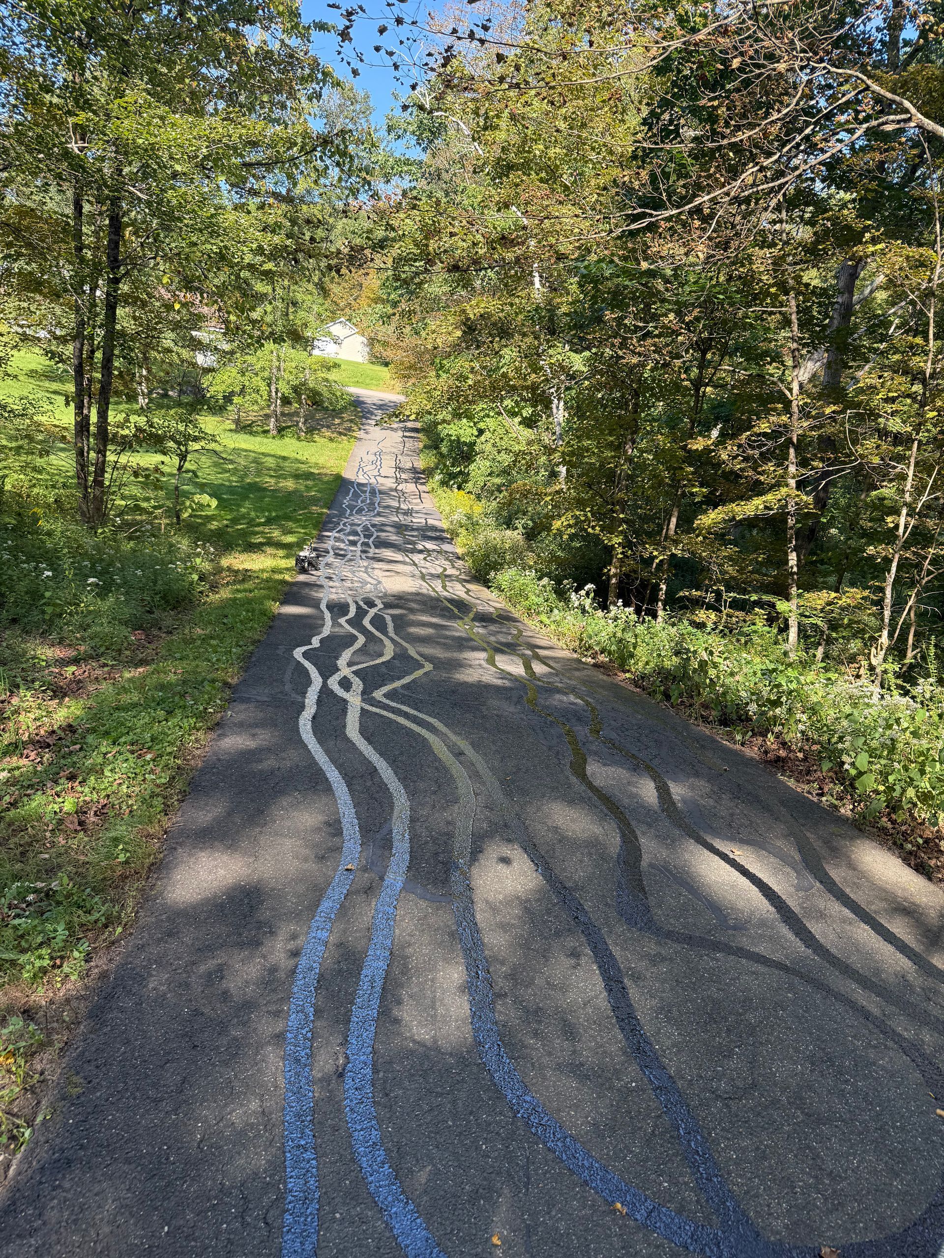 An asphalt path winds through a tree-lined area, featuring a decorative, wave-like mosaic inlay of blue stones.