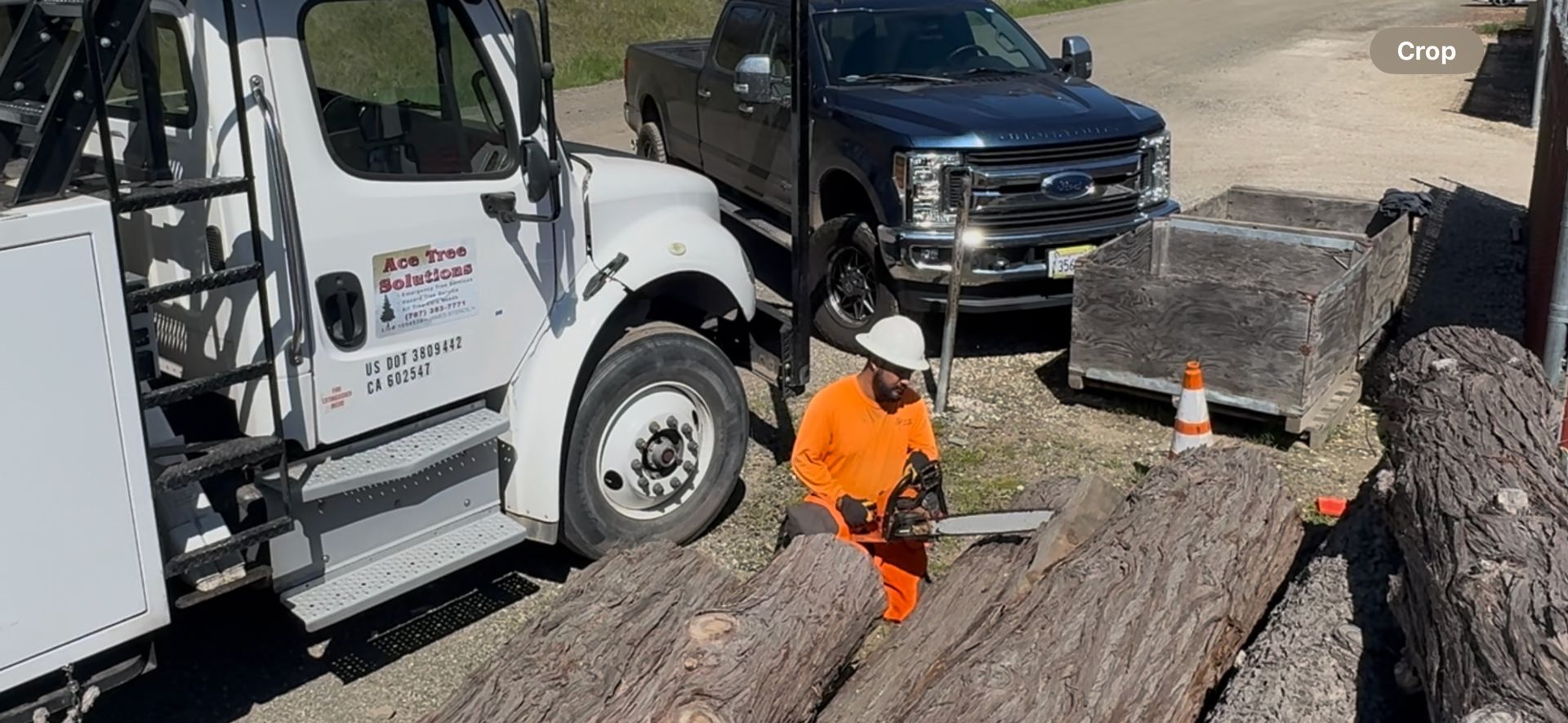 A man is cutting a log with a chainsaw in front of a truck.