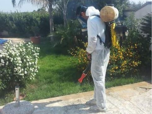disinfestazione in provincia di trapani