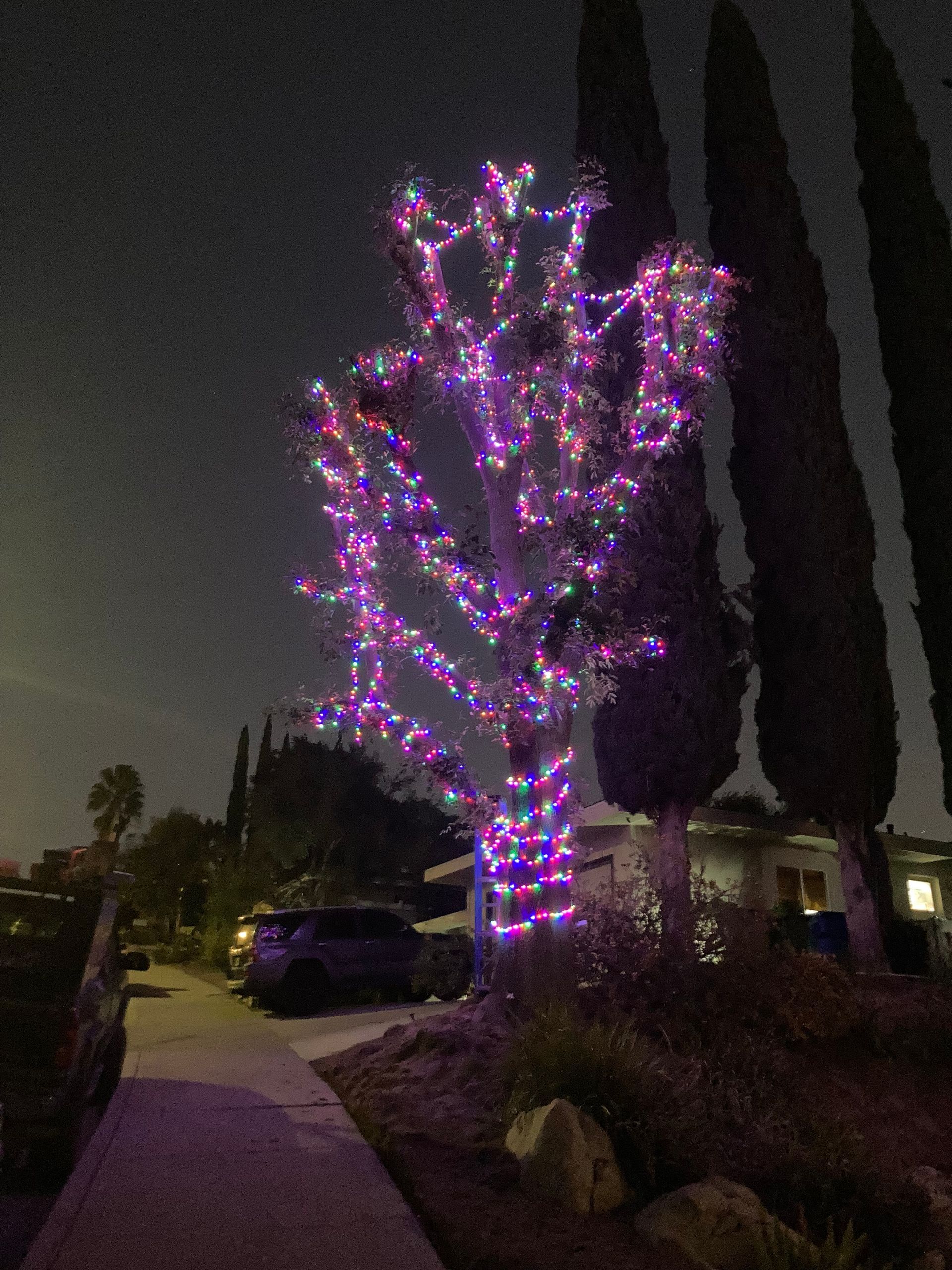 Tree wrapped in pink-purple lights beside a sidewalk at night, with houses and parked cars in the background.