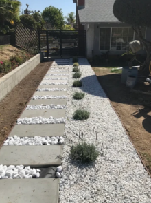 Modern front walkway with concrete pavers, white gravel, and small shrubs beside a house