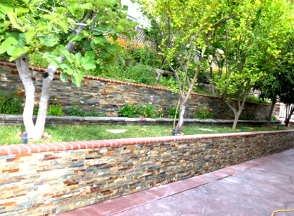 Tree-lined walkway beside a low stone wall and brick path in a green park setting