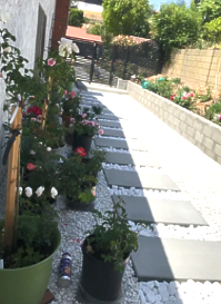 Narrow garden walkway with potted flowers beside a white house and stone wall, leading to steps.