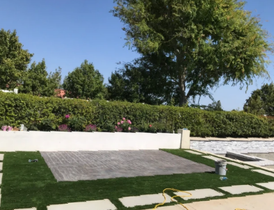 Sunny garden with trimmed hedge, small trees, and a paved patio beside green lawn