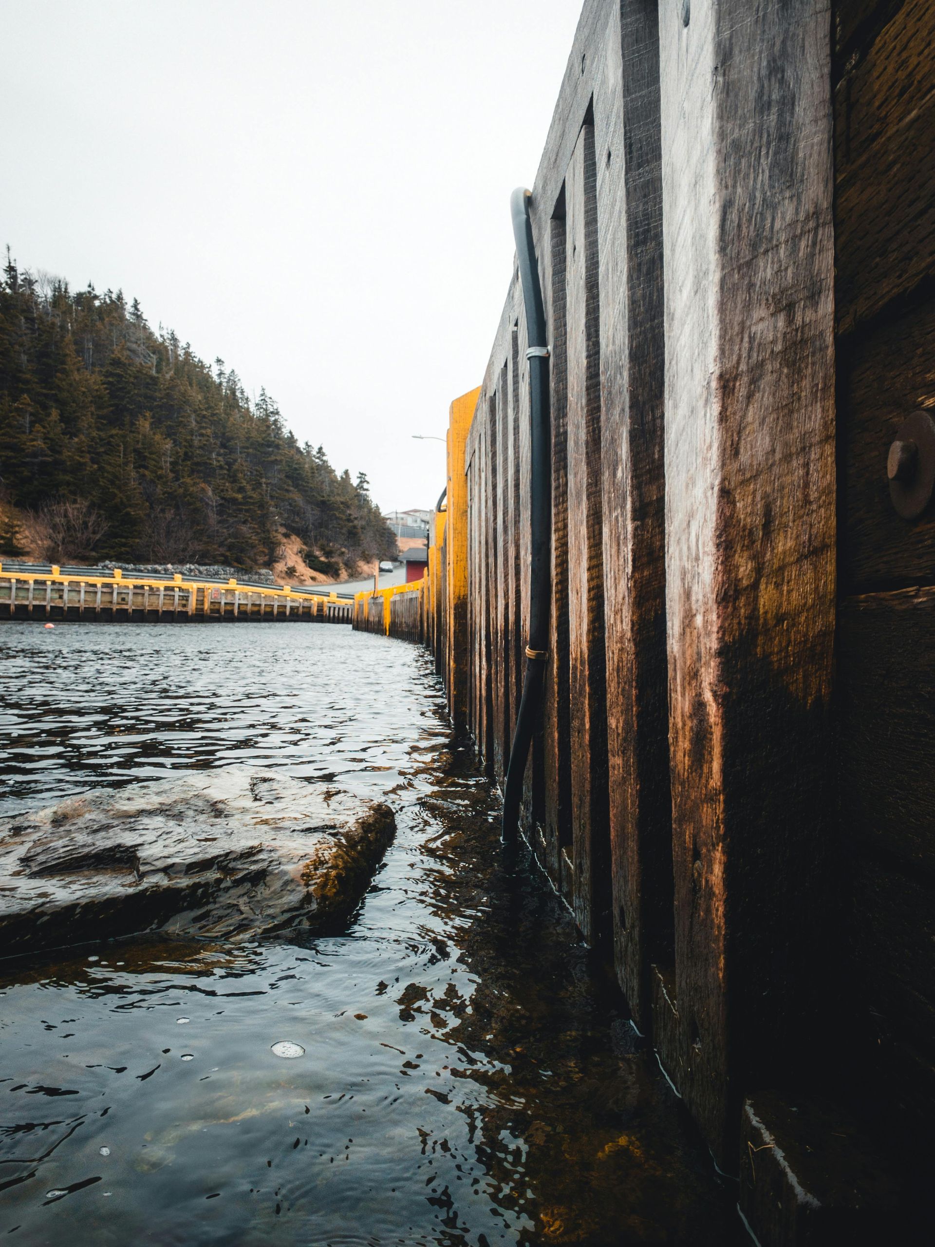 Weathered wooden pier posts beside rippling water, with a forested shoreline in the distance.