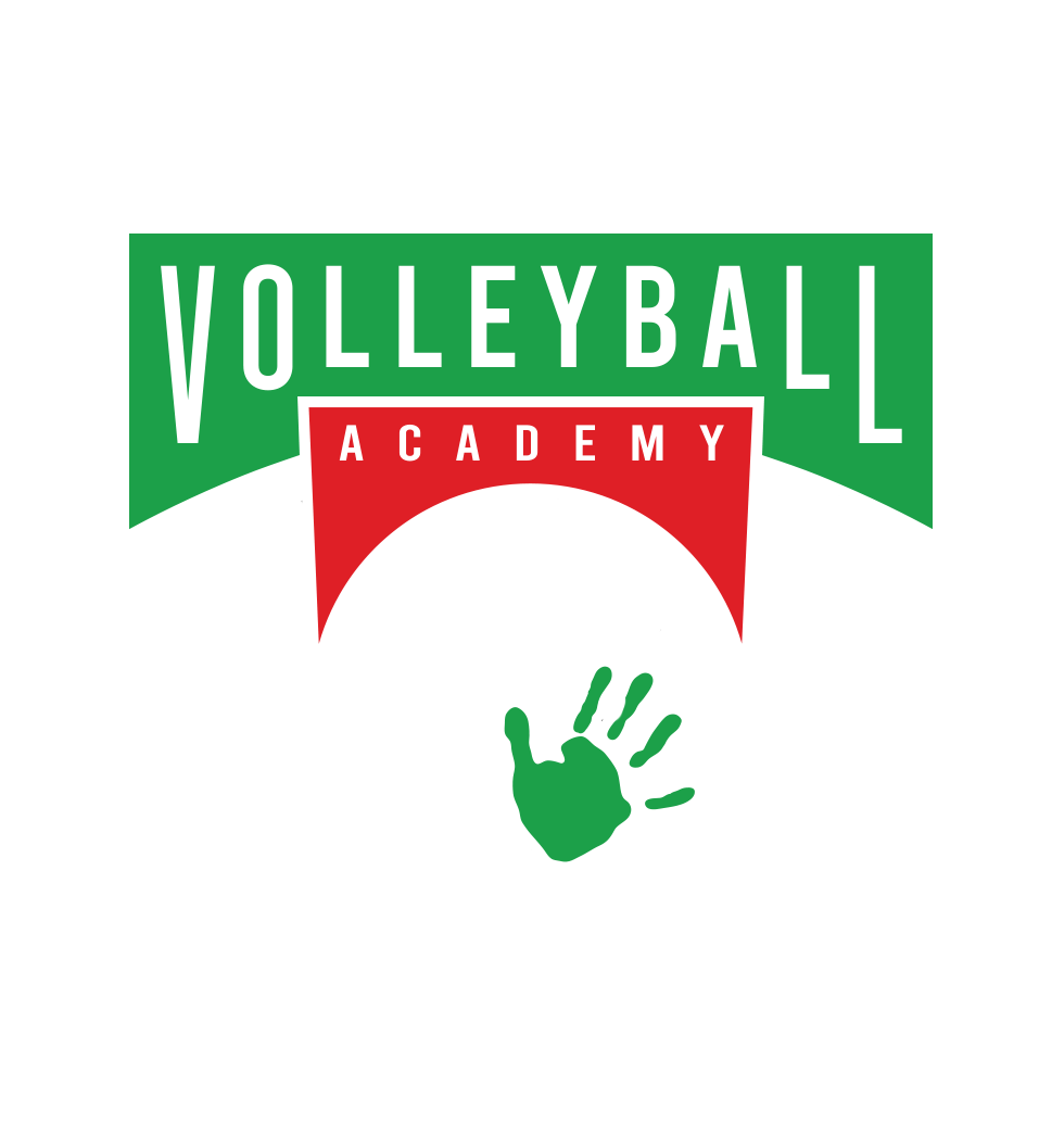 BVA Lions