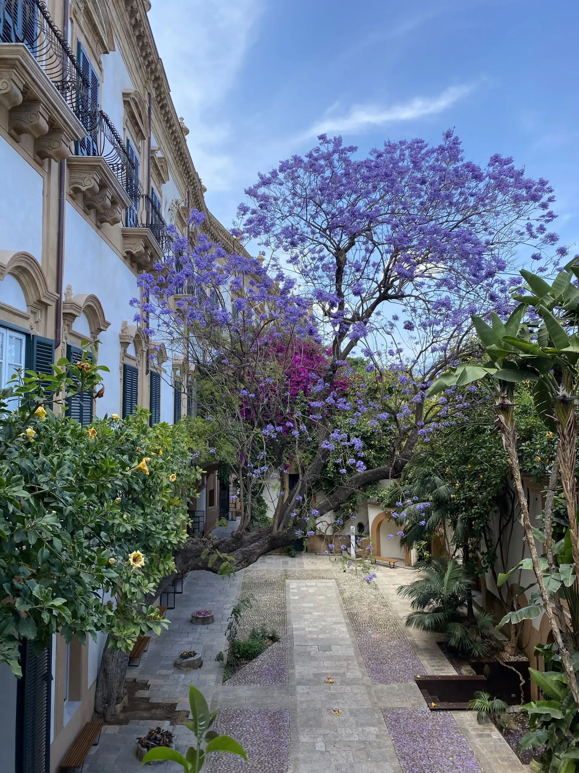 Stretto sentiero nel giardino accanto a un edificio, fiancheggiato da una vegetazione lussureggiante e alberi in fiore viola sotto un cielo azzurro.