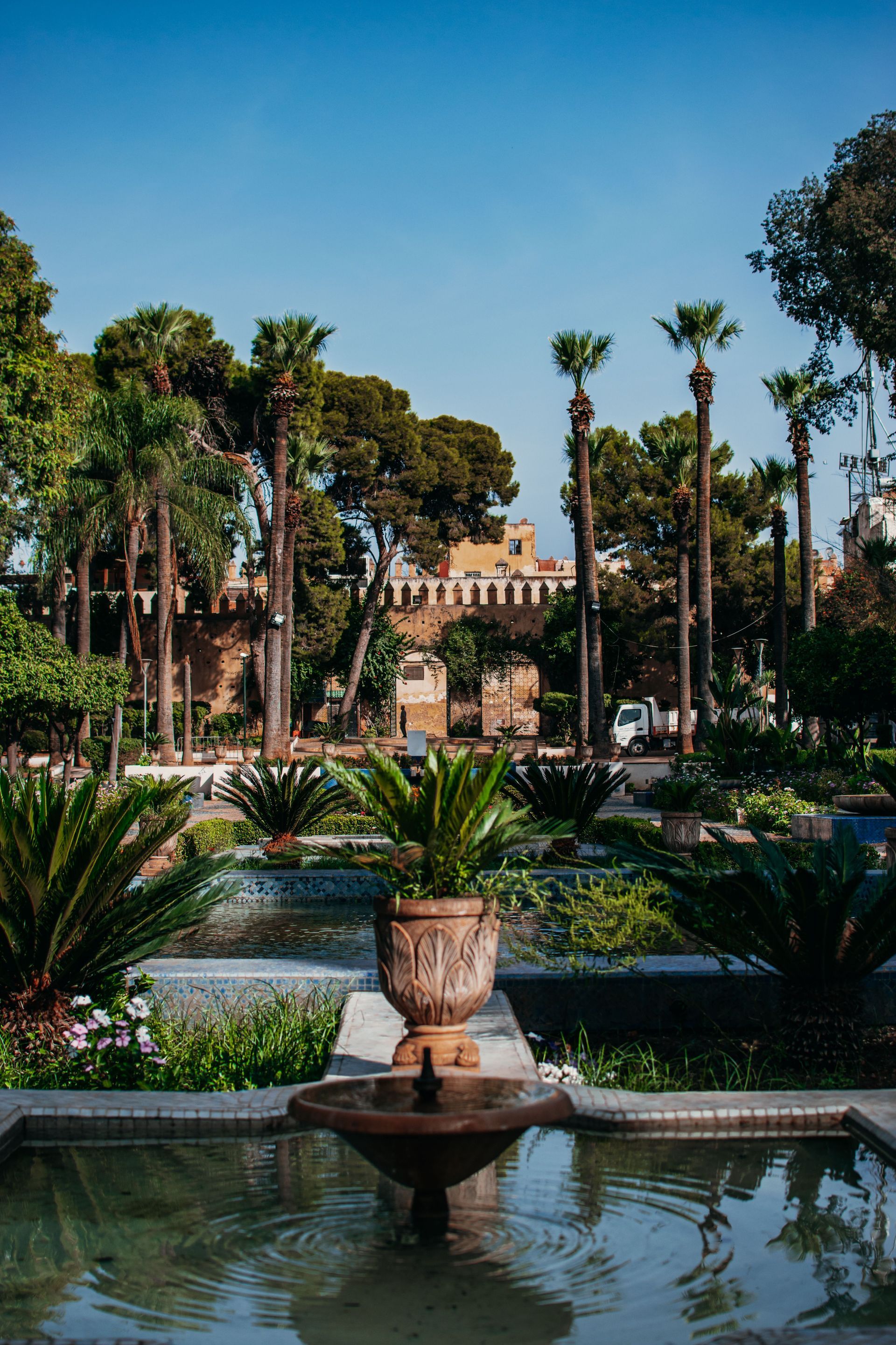 Giardino formale con palme, fontana e un edificio sullo sfondo, sotto un cielo azzurro.