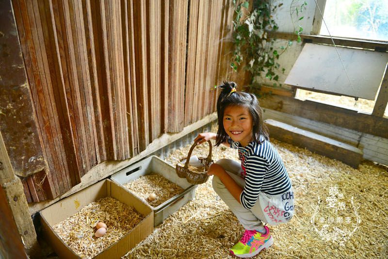 A little girl is kneeling down in a chicken coop holding a basket.