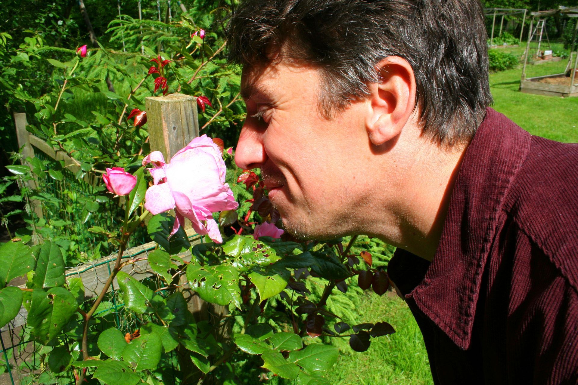 Friend in the garden