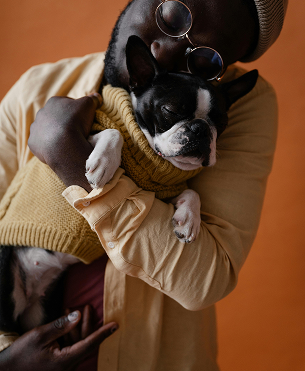 Person in tan coat holding a black-and-white dog wearing a knitted sweater and round glasses.
