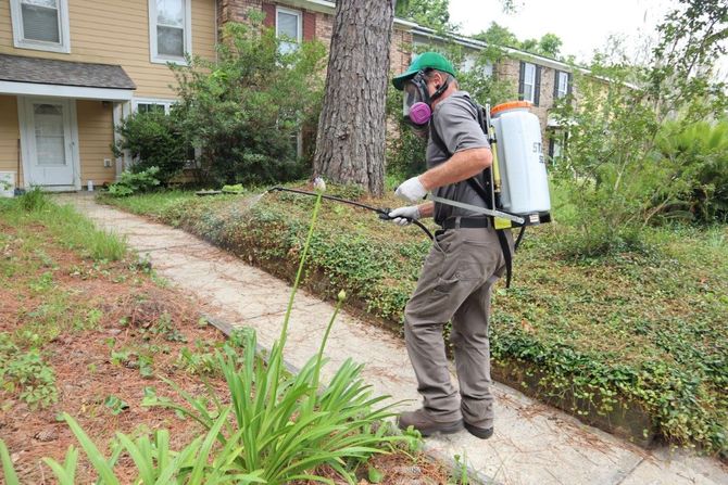 Worker using a backpack sprayer to treat plants along a sidewalk outside a house