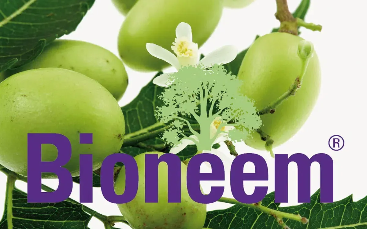 Bioneem Vliesbeutel 
