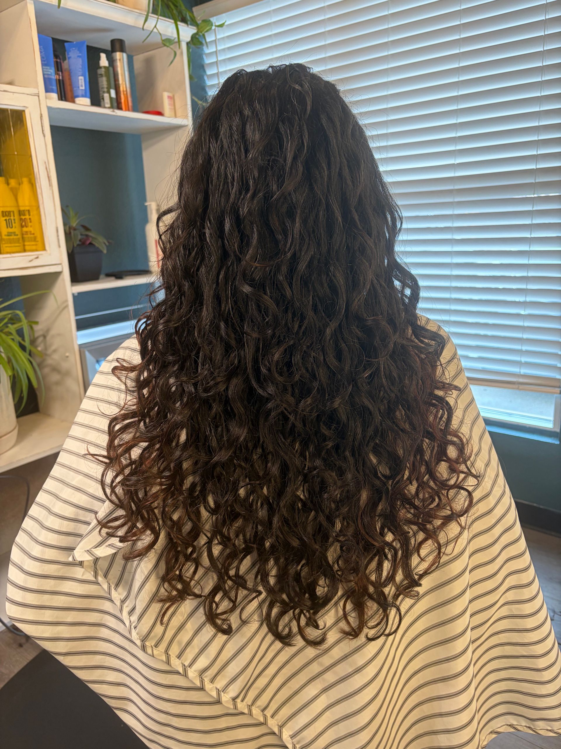A person with long, dark, wavy-to-curly hair seen from behind in a salon setting.
